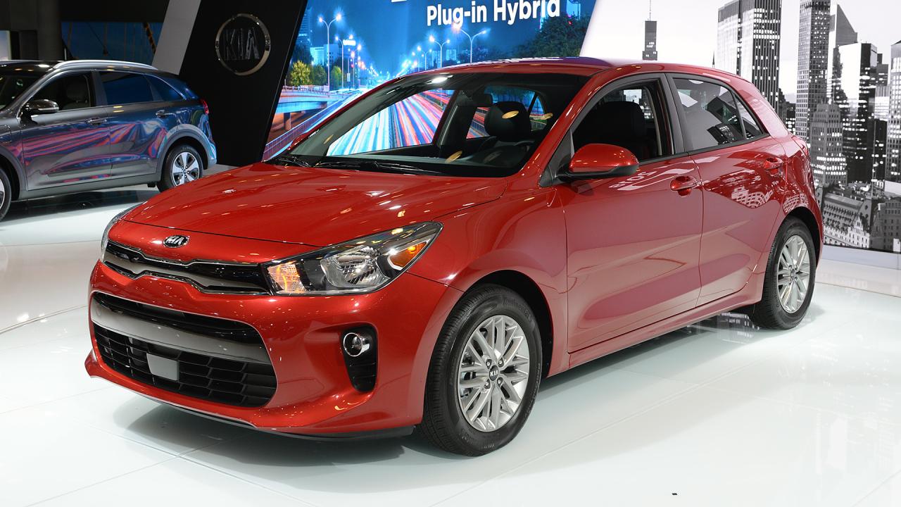 Kia Rio Berubah Menjadi Stesen Rehab Numbat Mudah Alih Sepenuhnya: Impian Konservasi Bergerak